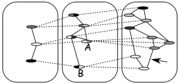 Figure 1. Example of a M iGaL structure of size three defined by three graphs and two refinements.