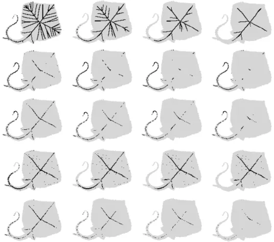 Figure 11: Medial axes (in black) superimpose to input object (in grey). Consecutive rows (from up to the bottom) contain results for DLMA, BFMA, HSMA, RFMA and CFMA respectively