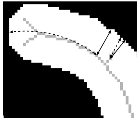 Fig. 11. The lengths depicted with a solid line correspond to the birth dates, the dotted lines to the death dates.