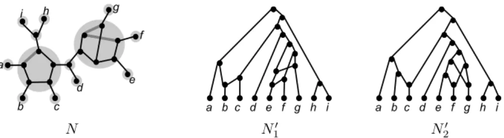 Fig. 1. An unrooted level-2 network N with leaf set {a, b, c, d, e, f, g, h, i}. All unlabeled vertices are internal vertices