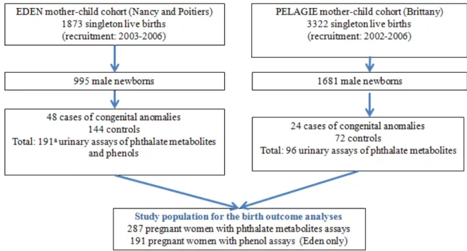 Figure  9:  Design  of  the  study  population  for  the  birth  outcome  analyses  (Gona_PE  study,  EDEN and PELAGIE cohorts, n = 287 a )   