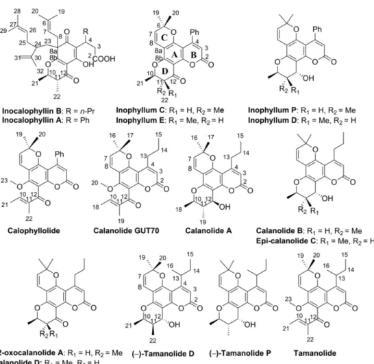 Figure 1. Structure of the secondary metabolites belonging to the pyranocoumarin family isolated from NTR and ATR fractions by low-pressure column chromatography and HPLC separation