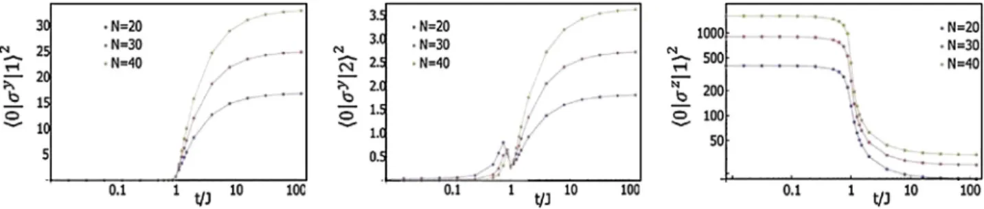 Fig. 4. Matrix elements of the relevant physical operators between the lowest energy states close to the quantum critical point of the Ising model; from left to right: the matrix element of the dimensionless charge operator σ y between two lowest states, t