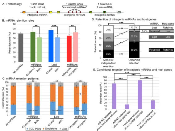 Fig. 3. miRNA gene retention rates and patterns following the TGD varied depending on genetic context