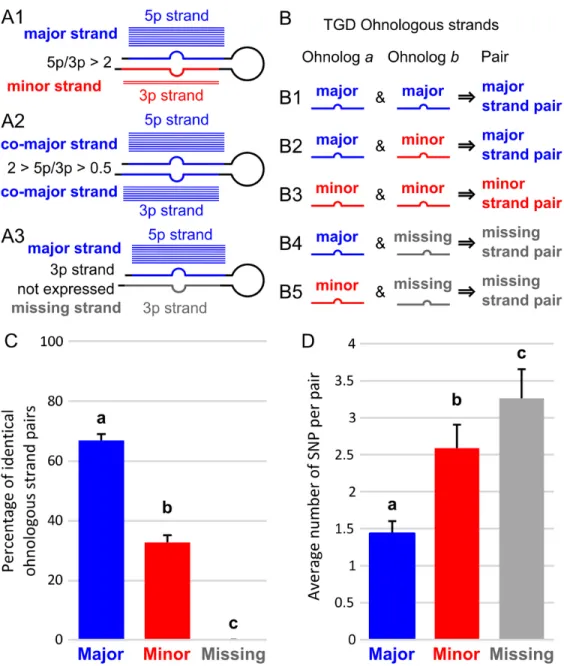 Fig. 7. Global pattern of sequence evolution between ohnologous mature miRNAs. 