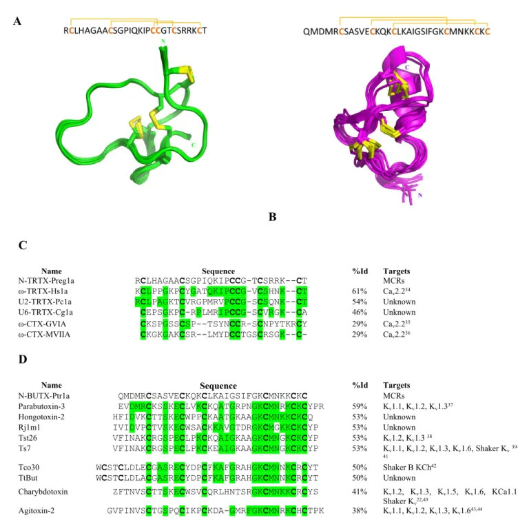 Figure 5. Structural characterization of N-TRTX-Preg1a and N-BUTX-Ptr1a. Primary structure and  overlay of the 10 NMR models representative of the solution structure of TRTX-Preg1a (A) and 