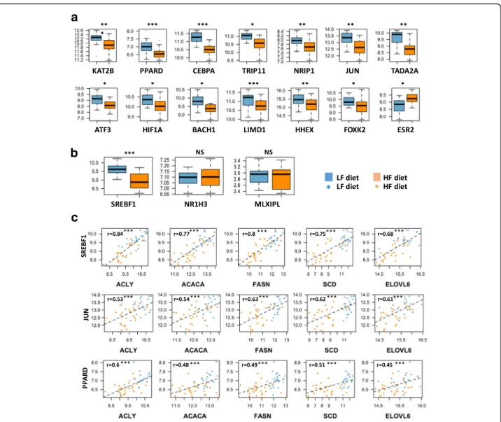 Fig. 5 Expression of DE transcription factors, nuclear hormones or transcriptional co-activators in liver of chickens fed HL or LF diets