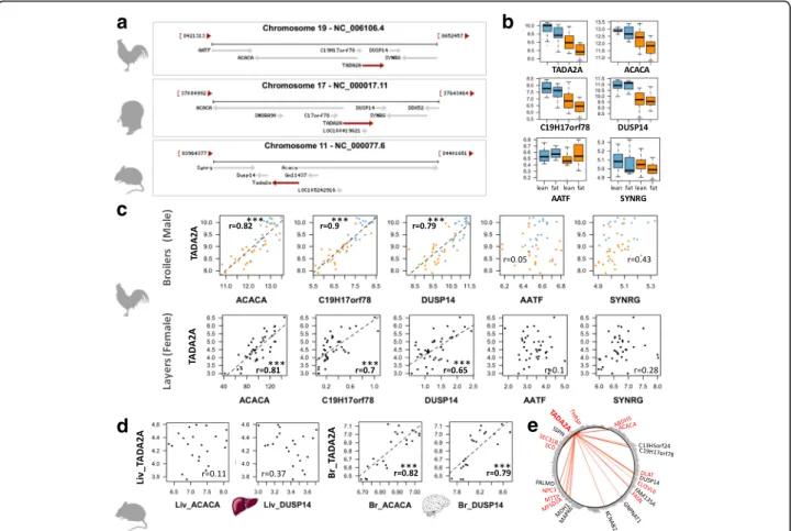 Fig. 6 A co-localized and co-expressed gene set containing ACACA and TADA2A. a Syntenic region conserved between chicken, human and mouse