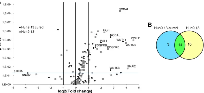 Figure 19 : Régulation de l’expressi cellules ont été stimulées avec 2,5 n de l’expression des gènes a été réal de  ménage  (B2M,  RPL13A,  GAPD déterminée pour chaque lignée cellu statistique  (p-value)  calculée  par  u baisse (log2(FC)&lt;-1) par le TGF