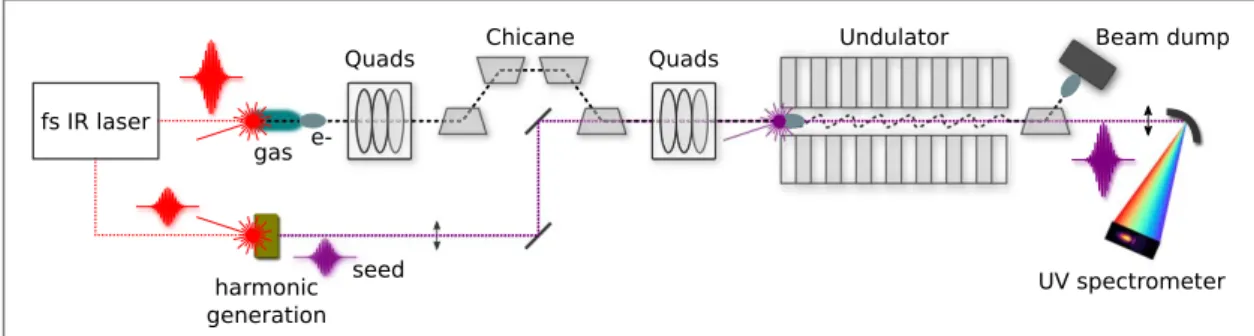 Figure 1. Schematic of a LPA–based seeded FEL. From one main femtosecond infrared laser unit, two pulses centered at 800 nm are delivered with independent controls