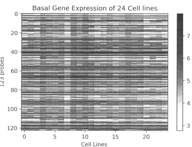 Figure  3.3:  Basal  expression  of  123  probes  from the 24  Coriell cell  lines  assayed  in Valiathan  et al