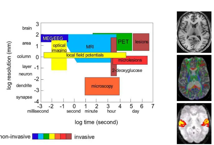 Figure 2.1: (left) The different imaging modalities for brain mapping. MRI and functional MRI have the unique property to yield high-resolution information while being minimally invasive