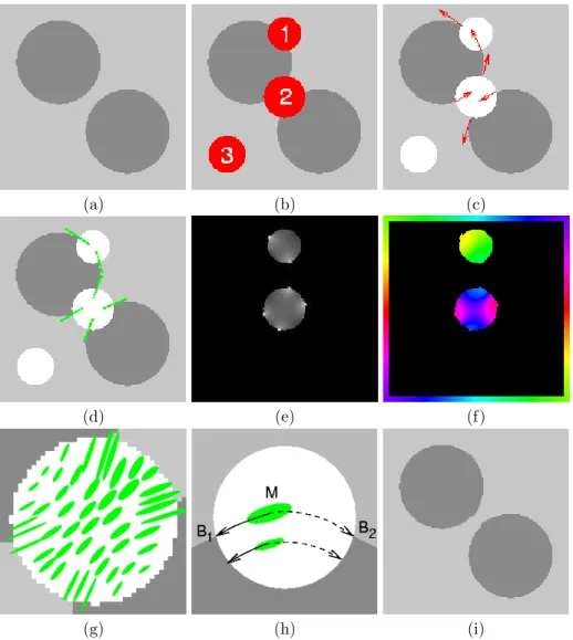 Fig. 4.8: Illustration de l’approche (a) image originale `a retrouver, (b) image avec Ω indiqu´e en rouge, i.e., les r´egions ` a retrouver, (c) tangentes aux isophotes sur ∂Ω, (d) tenseurs d´efinis comme conditions de bords correspondant aux tangentes, (e