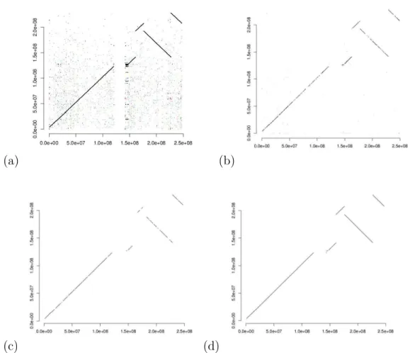 Figure 1.3 – Pour les quatre graphes, l’ordonn´ee est le chromosome 1 hu- hu-main, et l’abscisse tous les chromosomes du macaque superpos´es