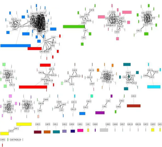 Figure 2.6 – Caryotype du proto-amniote, colori´e selon l’homologie avec les chromosomes du poulet