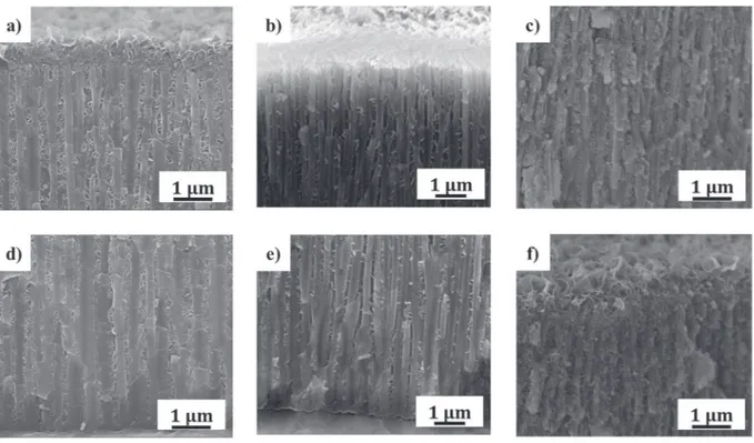 Fig. 13. FEG-SEM cross-sectional views of the model porous anodic ﬁlm after dip-coating (a) top and d) bottom of the pores), after constant EPD (b) top and e) bottom of the pores) and after pulsed EPD (c) top and f) bottom f of the pores) and each time wit