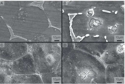 Fig. 19. SEM micrographs of the surface after pickling at different concentrations: (A) 0.01 mol/L, (B) 0.10 mol/L, (C) 1.20 mol/L and (D) 1.40 mol/L.