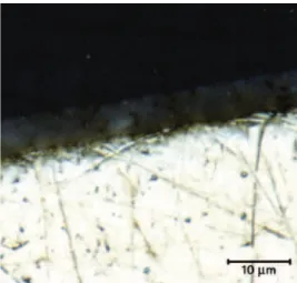 FIG. 3.1. Optical microscope images of EPD coatings after thermal posttreatment at 350 °C in air