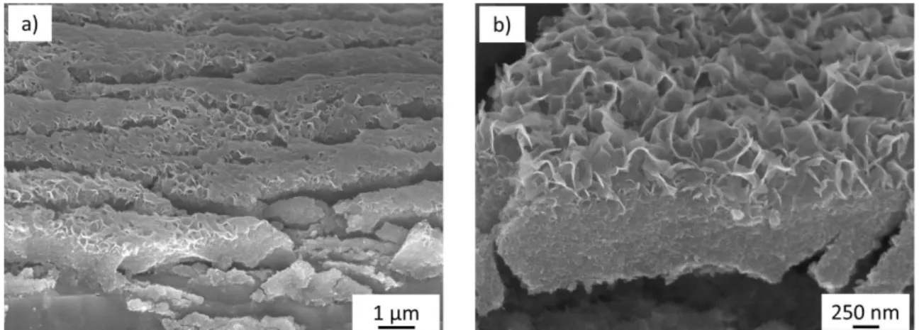 Fig. 4. FEG-SEM cross-sectional views of the anodic film after constant EPD (10 V, 15 min) followed by  the hydrothermal post-treatment (deionized water at 98 °C, 2 h) 
