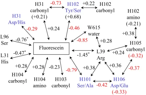 Figure 2.1: Diagram of all major (> 0.2 kcal/mol) electrostatic interaction and desol- desol-vation penalty differences (4M5.3 − 4-4-20) among components in Table 2.2