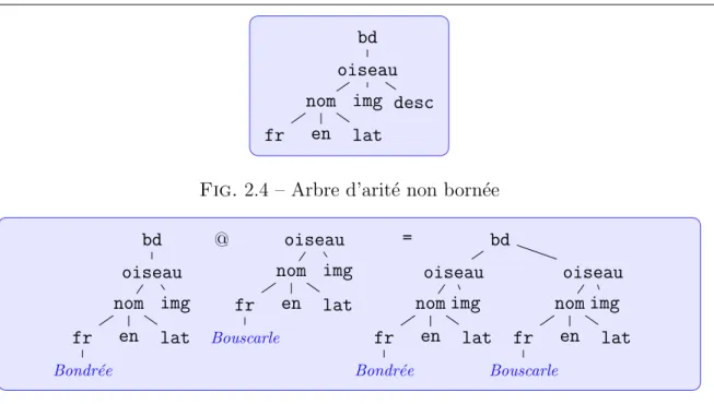 Fig. 2.4 – Arbre d’arit´e non born´ee bd oiseau nom fr Bondr´ee en latimg @ oiseaunomfrBouscarleen latimg = bdoiseaunomfrBondr´eeenlatimg oiseaunomfrBouscarleen latimg