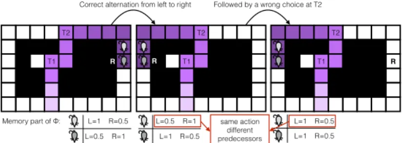 Fig. 2. Example of multiple predecessors in the alternation task. The agent first correctly goes to the right (left)