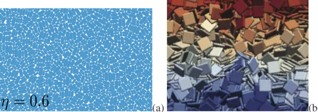 Figure 4.6. – Image d’une portion des systèmes granulaires générés en 2D pour a) η = 0.6 et b) en 3D pour η = 0.7, à la fin de la compression isotrope (voir Sec