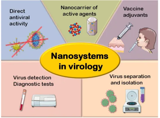 Figure 1: Main uses of nanotechnology in virus fight 