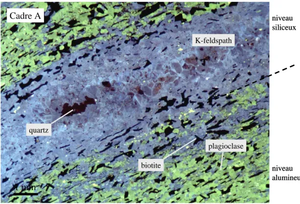 Figure 1.6  Image  en  cathodoluminescence  de  la  zone  feldspathisée  (cadre  A,  fig