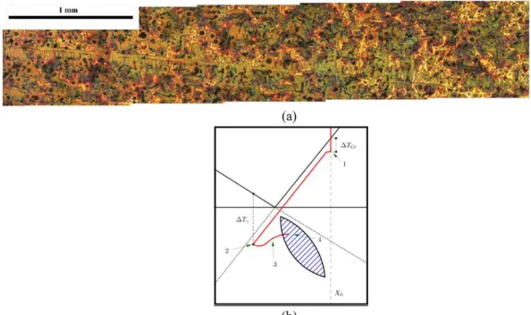 Fig. 3. DAAS obtained microstructure of hypereutectic CGI (a) and plot of the C concentration of the  melt as solidification of hypereutectic CGI proceeds (b) [5]