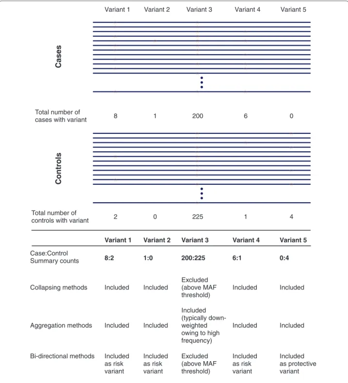 Figure 2. An illustration of rare variant association tests. Cases and controls from a hypothetical complex disease exome sequencing project  are depicted