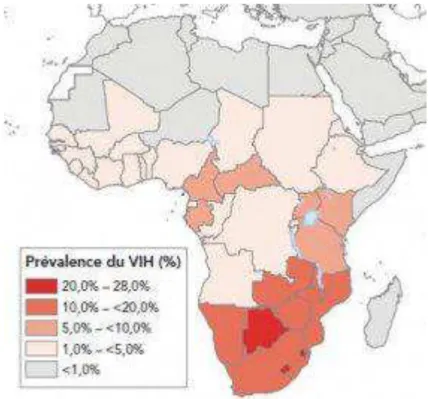 Figure 1. Prévalence de  l’infection VIH en Afrique subs aharienne en 2009  Source: Rapport O NUSIDA sur l’épidémie mondiale du SIDA (2010).