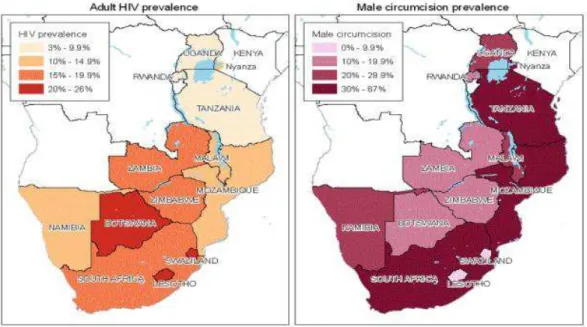 Figure 4. Distribution géographique des prévalences du VIH et de la CM en Afrique australe et  de l’Est dans les 13 pays cibles chez les hommes adultes âgés de 15 à 49 ans  