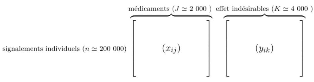 Figure 3.1 – Données individuelles de pharmacovigilance mises sous forme matricielle.