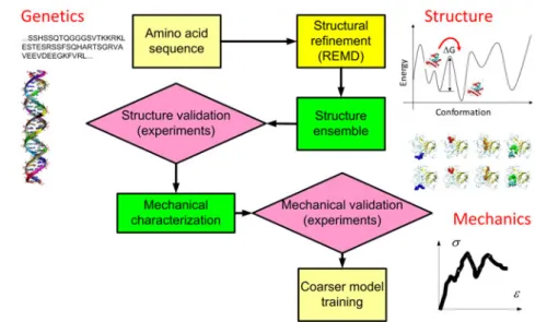 Fig. 2 A schematic of the overall procedure to investigate the molecular structure and mechanical property of intermediate filaments by computational modeling and simulations and validation by comparison against experimental tests.