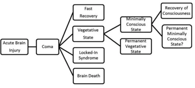 Figure 1.1.4. Different conditions that may follow acute brain injury. 