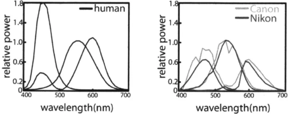 Figure 2.4  Human  color  matching functions  for the CIE XYZ  color  space  for 2*  observer and spectral  sensitivities  of two  cameras; Canon EOS  iDs  mk 11  and Nikon  D70.