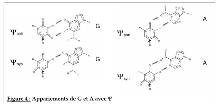 Figure 4 : Appariements de G et A avec Ψ 