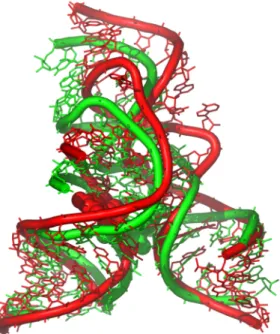 Figure 4 : Vue de la superposition entre le modéle (rouge) et la structure cristallographique (vert) du ribozyme  en épingle à cheveux