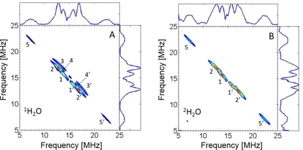 Fig. 3.  1 H HYSCORE spectra of DMSK D  in H 2 O (A) or in  2 H 2 O (B). Microwave frequency,  9.6944 GHz (A) and 9.7045 GHz (B); magnetic field, 345.2 mT (A) and 345.9 mT (B)