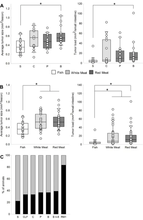 Fig 1. Effects of experimental diets on intestinal carcinogenesis. (A) Effects of Salmon [S], Chicken [C], Pork [P] and Beef [B] on average small intestinal tumor size and tumor load