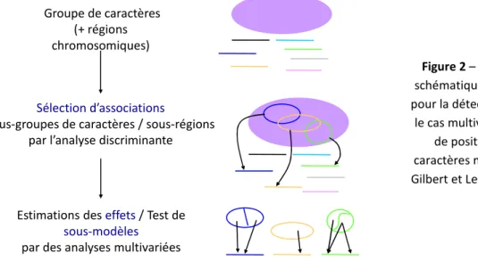 Figure 2 – Représentation  schématique de l’algorithme  pour la détection de QTL dans 