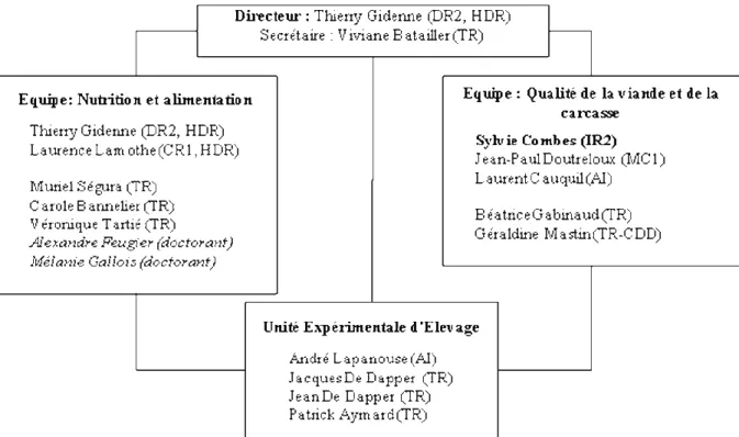 Figure 1: Organigramme de la Station de Recherches Cunicoles (SRC) en 2006 