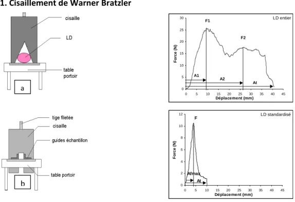 Figure  4 :  Schéma  des  dispositifs  et courbes  types  pour    la mesure  de cisaillement  par  le  test  de  Warner Bratzler sur le muscle  Longissimus  dorsi (LD) entier (a) ou sur échantillon standardisé (b)  [C10]