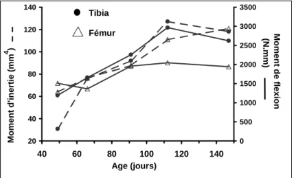 Figure 6  :  Evolution  avec  l’âge  des  moments  d’inertie  et  de  flexion  pour  le  fémur  et  le  tibia  des  lapins (n=10/âge) [C2] 