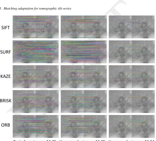 Figure 1: The result after brute-force matching of IMOD data test BBa on two consecutive images of the series (24-25) and after homography validation on two consecutive images of the series (24-25) and two images of the series with a jump of ten images (24