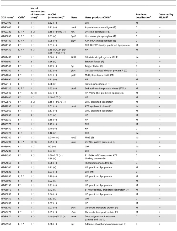 Table 3. M. agalactiae CDSs identified by high-throughput screening for their reduced growth capacities on cultured cells