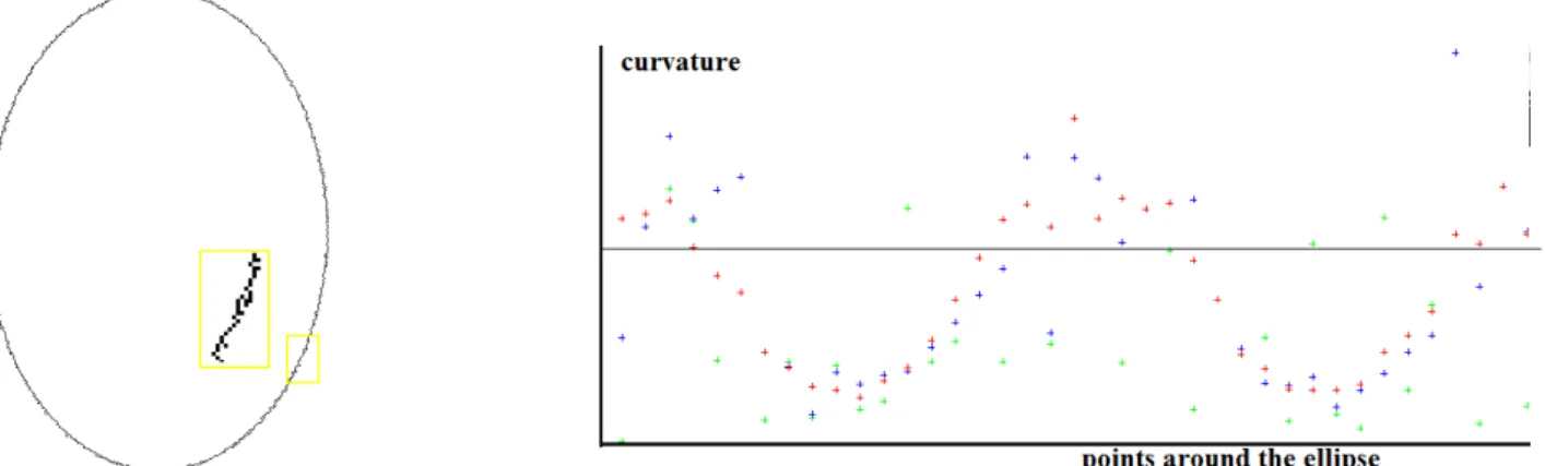 Figure 6: Digital curvature around a noisy digitization of an ellipse, uniform noise of maximum absolute value 3h, h = 5001 , Taylor-optimal mask, various values for l