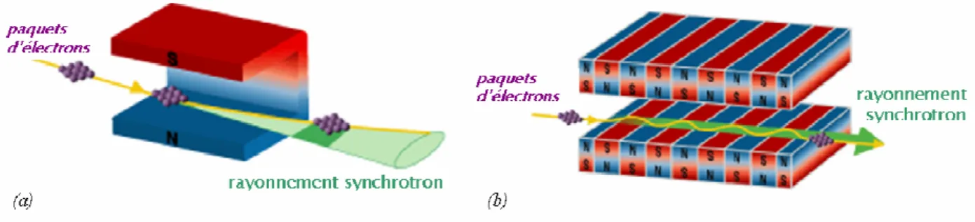 Figure III.1 Production du rayonnement synchrotron par un aimant de courbure (a) et un ondulateur ou  wiggler (b)