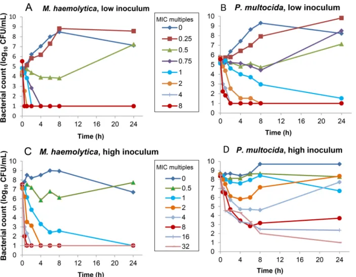 Fig 1. Time-kill curves of low (10 5 CFU/mL) (A and B) and high (10 8 CFU/mL) (C and D) inocula of M 